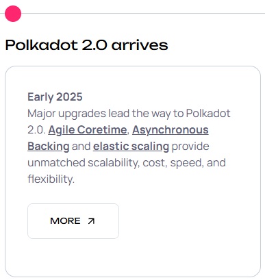 polkadot2.0